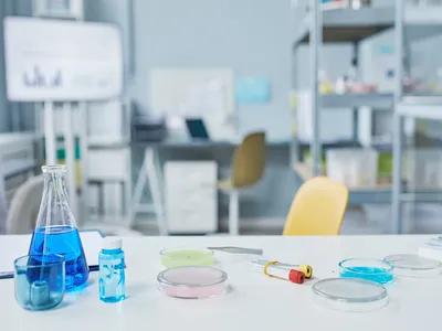 실험실 & 파일럿