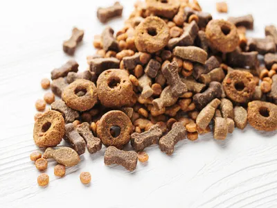 Alimentation pour Animaux