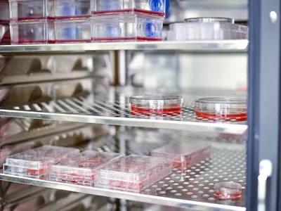 بیوتکنولوژی