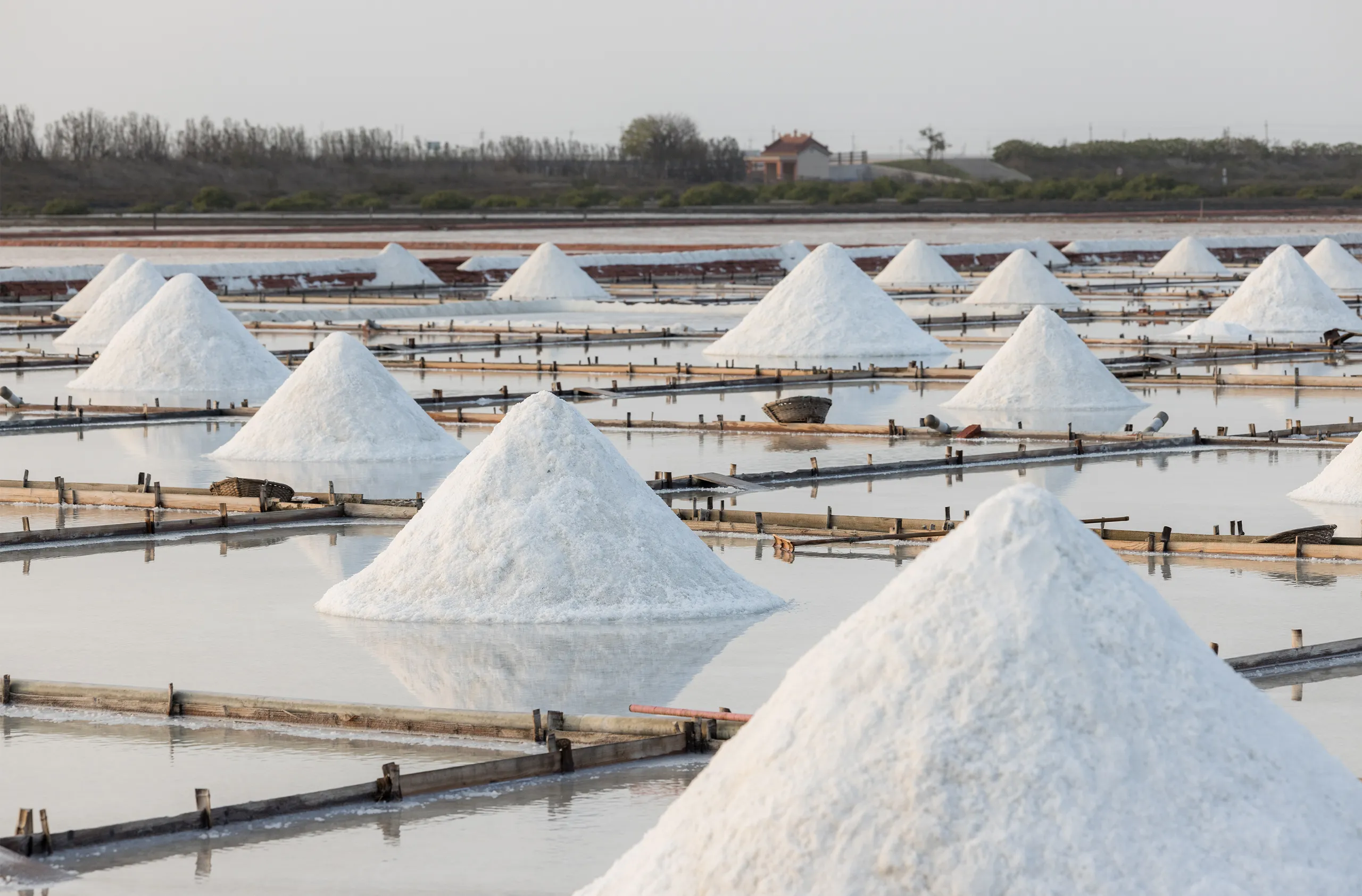 Salt Solutions