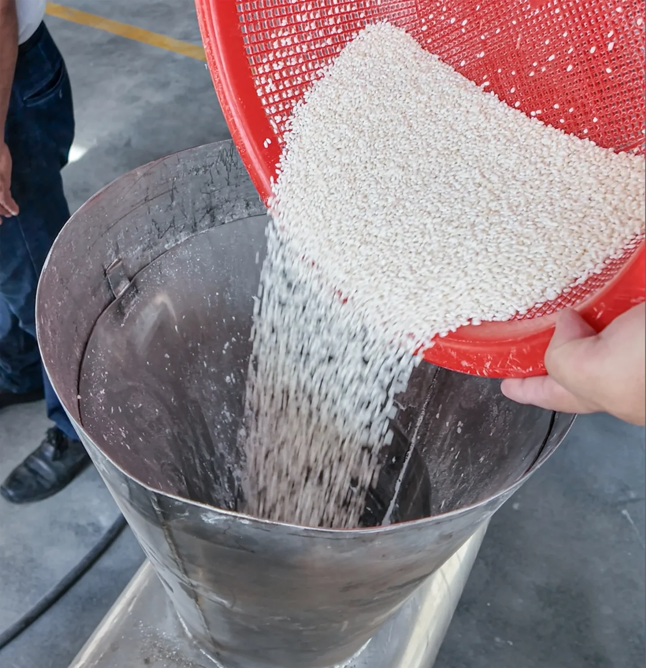 Rice Protein 